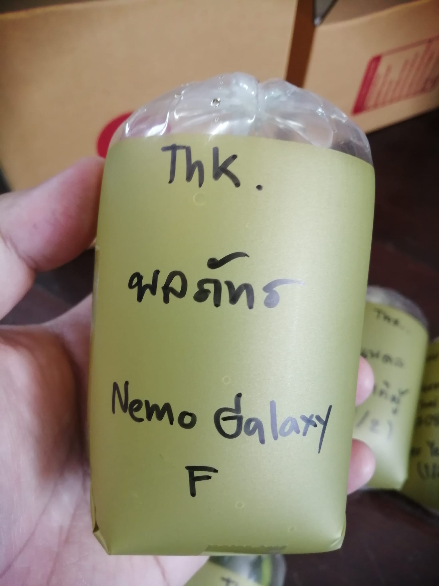 312485919_1863135854035981_3839558238944295944_n